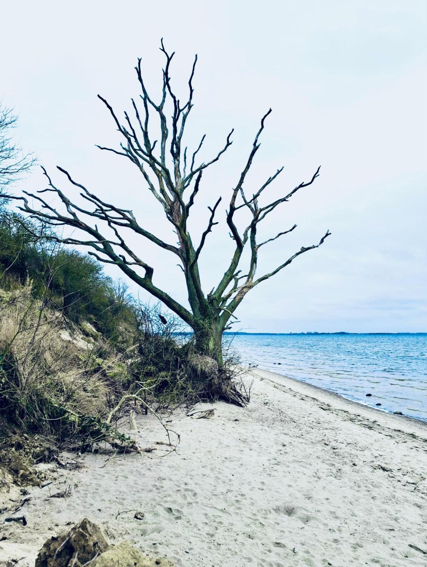 Ferienhaus Am Strand Loissin Buitenkant foto